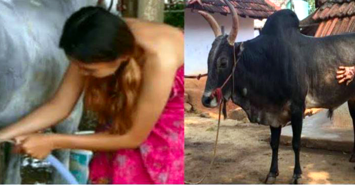 एउटा साँढेको कारणले यी महिलाले गरिनन् बिहे, परिवारसँग छुट्टिएर साँढेसंग एक्लै बस्छिन