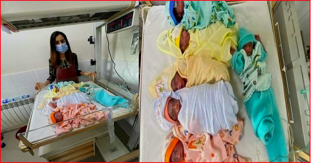 यस्तो औषधि प्रयोग गरेपछि एकैचोटी जन्मिए ७ बच्चा !