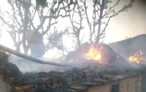 गोठमा आगलागी हुँदा जलेर दुई बालबालिकाको मृत्यु